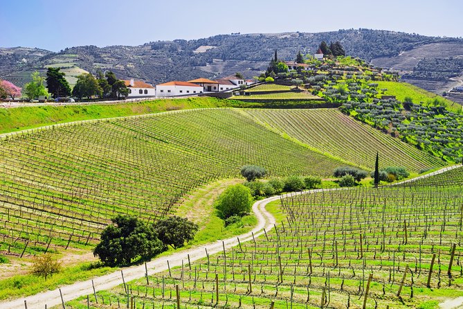 Douro Valley private day tour from Porto - Convenient Pickup and End at Praça da Liberdade