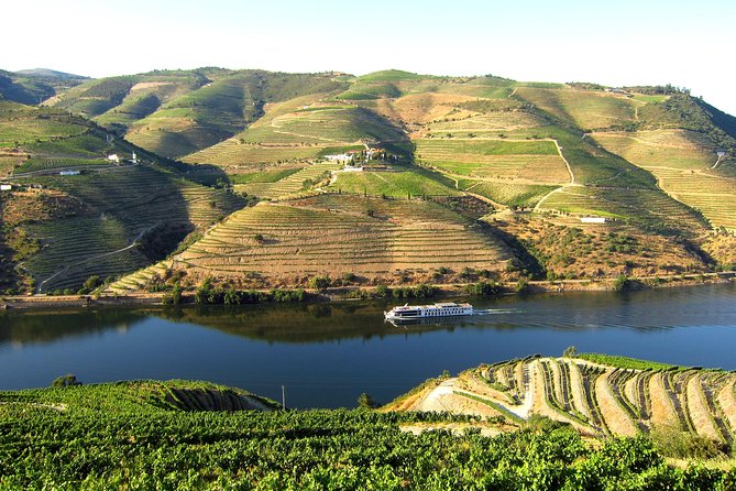 Douro Valley Private Full-Day Tour from Porto - Scenic Drives Through Portugal’s Wine Country