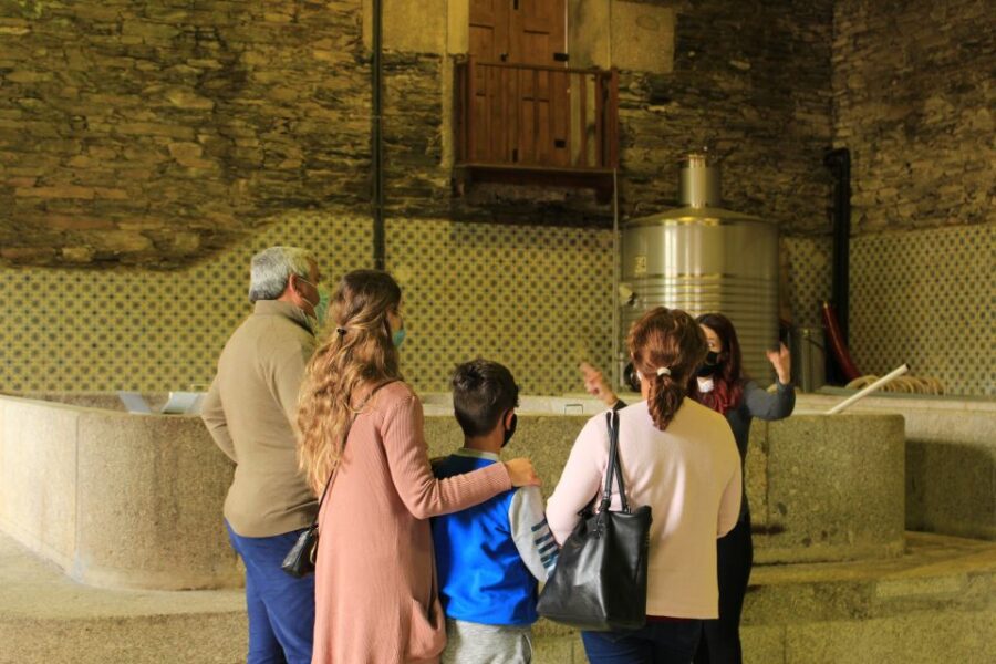 Douro Valley Private Tour - Visiting a Port Wine Farm and Tasting Portugals Signature Drink
