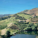 Douro Valley: PRIVATE TOURS with 1 Wine Tasting - Visiting a Local Douro Wine Estate