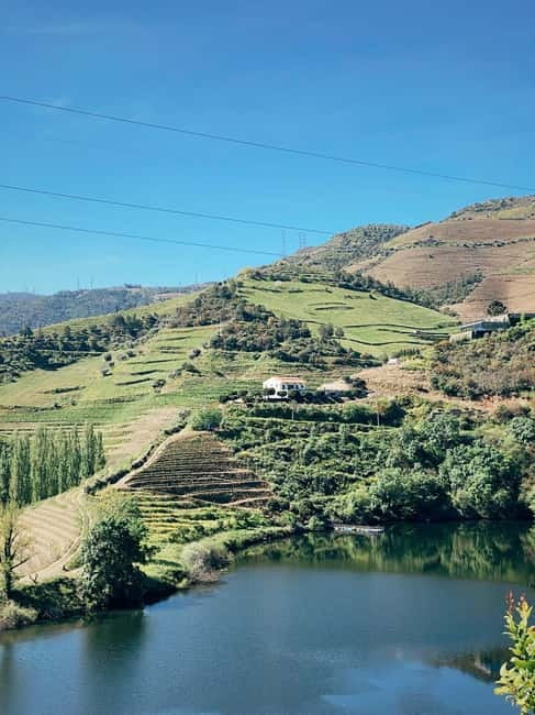Douro Valley: PRIVATE TOURS with 1 Wine Tasting - Visiting a Local Douro Wine Estate
