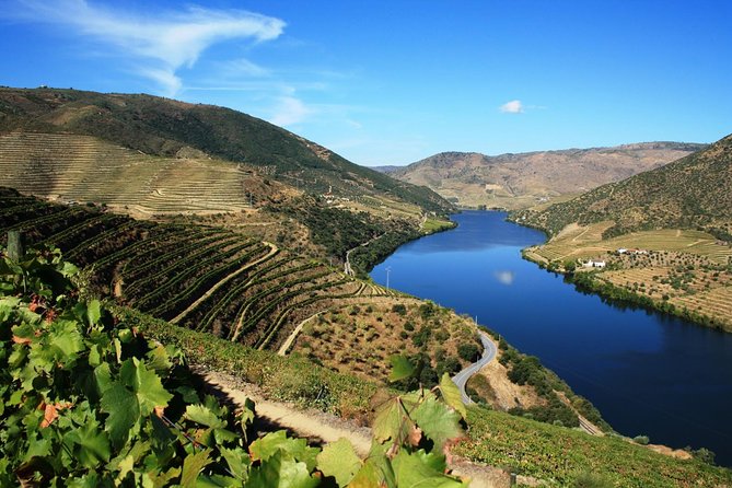 Douro Valley Private Wine Tour from Lisbon - Exploring the UNESCO World Heritage-listed Douro Vineyards