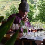 Douro Valley: Quinta do Tedo Winery Tour and Tasting - Starting Point in Folgosa and How to Find the Tour