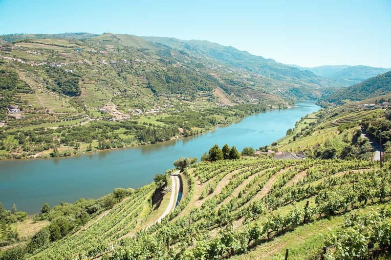 Douro Valley: Real Small-Group, Wine Tasting, Lunch & Boat - The Tour Starts in Porto and Offers a Convenient Pickup