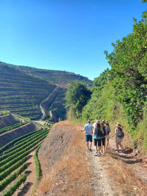 Douro Valley: sunset walking tour with a local - Final Thoughts on the Douro Valley Sunset Walking Tour