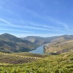 Douro Valley Wine Tour - Exploring the Douro Valley’s Vineyards and Estates