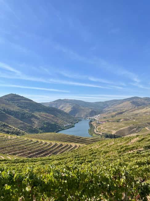 Douro Valley Wine Tour - Exploring the Douro Valley’s Vineyards and Estates