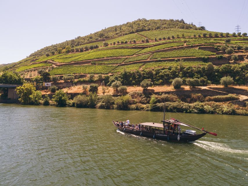 Douro Valley Winery Day Trip with River Cruise - Starting Point: Convenient Door-to-Door Pickup in Porto