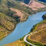 Douro: Wine Tasting and river cruise Experience - Private Boat Trip on the Douro River with Regional Tastings