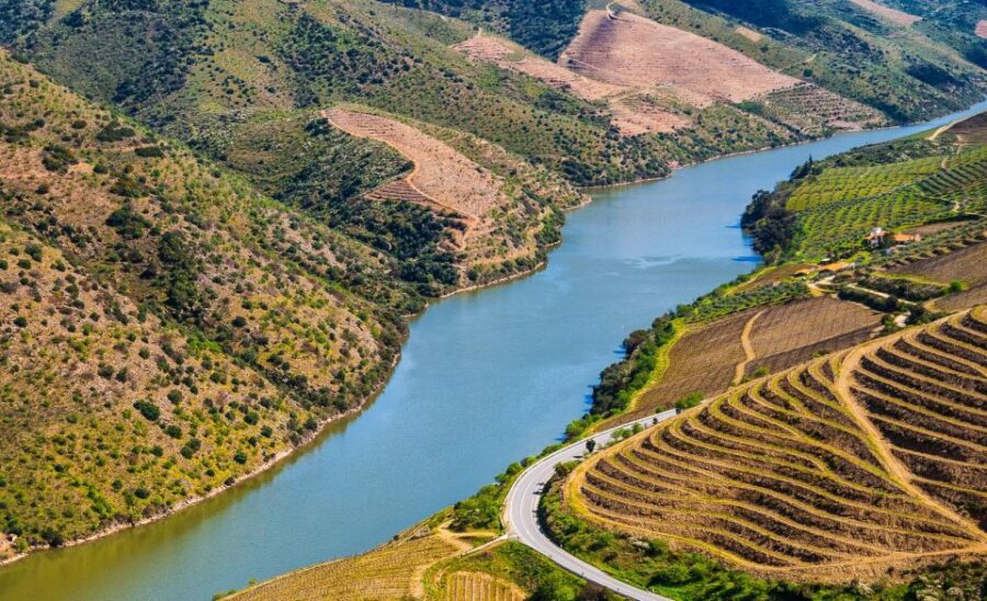 Douro: Wine Tasting and river cruise Experience - Private Boat Trip on the Douro River with Regional Tastings