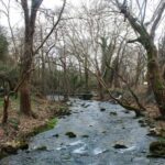 Dream Tour Kavala: Aggitis River Cave Crossing & Winery Tour - Scenic Drive Through Northern Greece’s Countryside