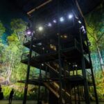 Dresden: 360° Panorama Amazonia Entry Ticket - The Panorama Amazonia: A Hyper-Realistic Artwork in Dresden