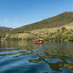 Driver with Private Vehicle in the Douro Valley - Spectacular Views at Miradouro São Cristóvão and São Leonardo de Galafura