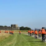 Dublin Full Day Bike Rental - Deer and Wildlife: The Free-Roaming Fallow Deer