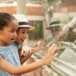 Dublin Zoo Skip-the-line Tickets and Private Transfers - Detailed Look at Dublin Zoo’s Key Exhibits