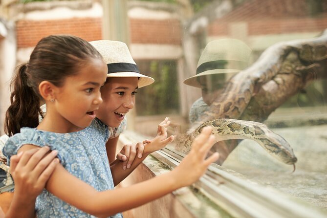 Dublin Zoo Skip-the-line Tickets and Private Transfers - Detailed Look at Dublin Zoo’s Key Exhibits