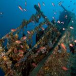 Dubrovnik: 1-Day Diving Package - What Makes the Dubrovnik Underwater World Special