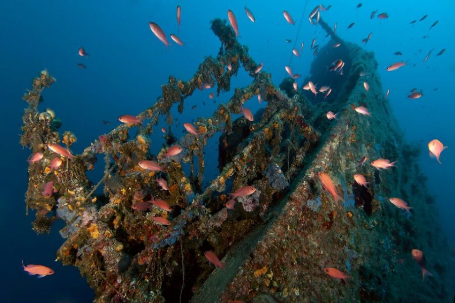 Dubrovnik: 1-Day Diving Package - What Makes the Dubrovnik Underwater World Special