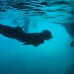 Dubrovnik: Blue Cave & Sunj Beach Boat Tour with Drinks - Starting Point and Booking Flexibility