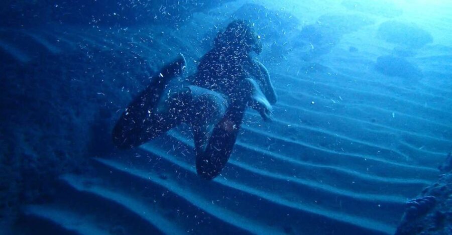 Dubrovnik: Blue Cave Tour with Panoramic Old Town View - The Boat and Crew Experience