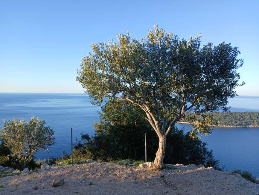 Dubrovnik: Early Nature Walk with a Historical Twist - Starting Point at Frana Supila with Scenic Views