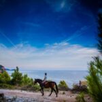 Dubrovnik Kojan Koral: Horseback Riding - Departing from Your Accommodation to the Konavle Ranch