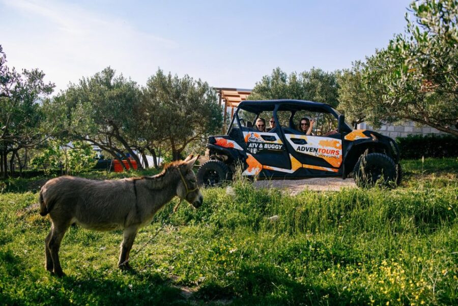 Dubrovnik: Private Buggy Safari Guided Tour (3 hours) - Starting Point and Private Transportation in Dubrovnik