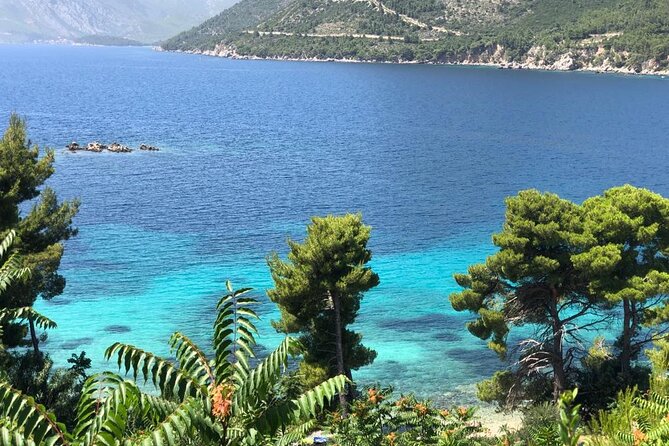 Dubrovnik Private Wine Tasting Tour To Peljesac - Visiting a Family-Owned Vineyard in Ponikve