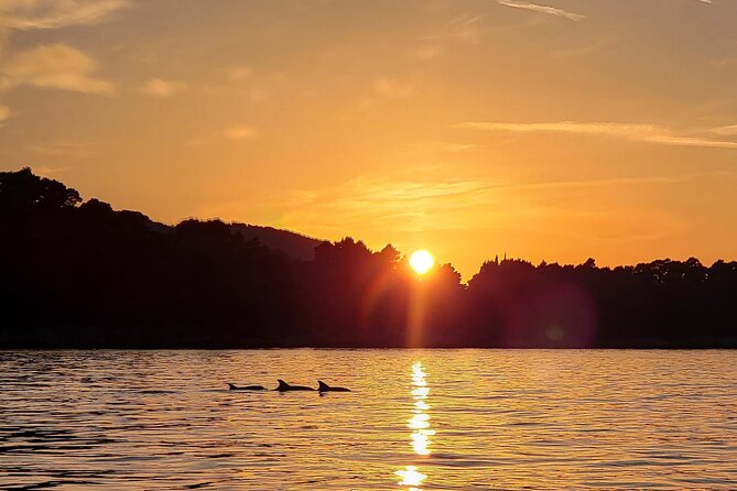 Dubrovnik Romantic Sunset Boat Tour - An Intimate, Scenic Journey on a Cozy Speed Boat