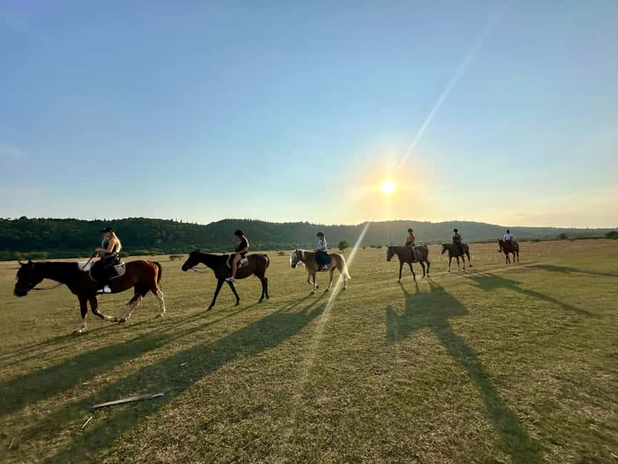 Dubrovnik: Sunset Horseback Ride with Transfers - Exploring Konavle’s Countryside on a Horseback Trail