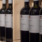 Duca di Salaparuta Winery: Duke's Excellences Tour - Discovering the History of Duca di Salaparuta