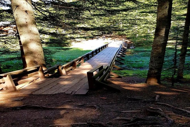 Durmitor National Park hiking tour - easy to moderate - Starting Point and Tour Duration in Zabljak