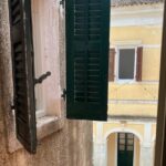 Durrells story half day - The Charm of Mouse Island and Gerald Durrell’s Real Life