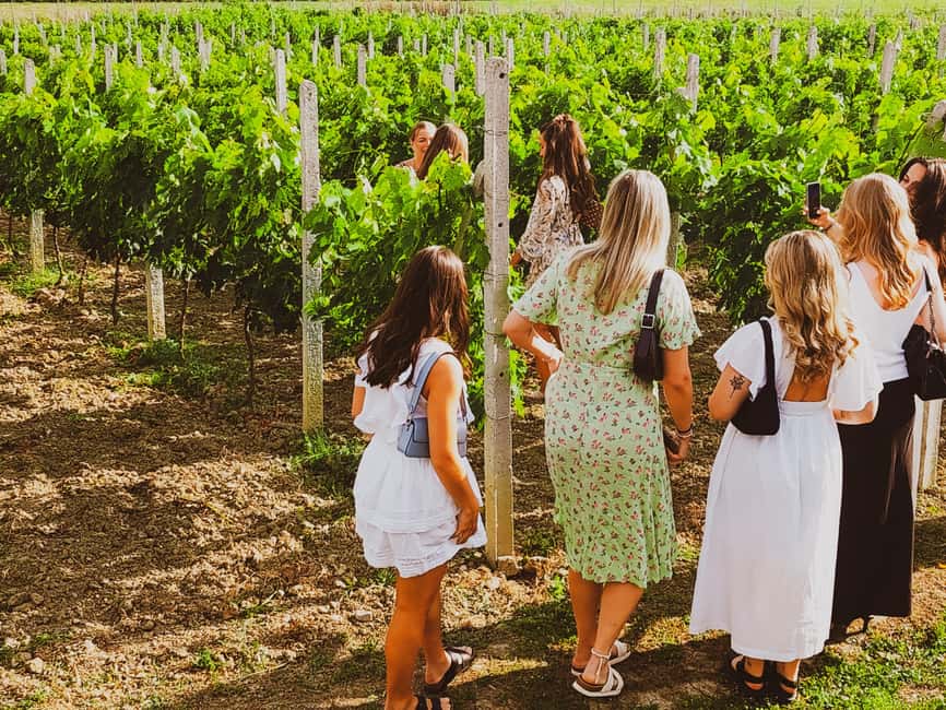 Durres Countryside Vineyards Wine Tasting & Food Pairing - Visiting the Unique Wine Cellar