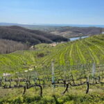 Durres & Wine Tasting Tour - Visiting the Durres Amphitheatre