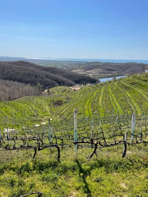Durres & Wine Tasting Tour - Visiting the Durres Amphitheatre
