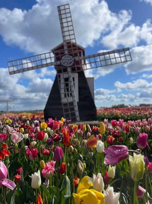 Dutch Countryside: , windmills, Villages, Cheese & Clogs - Discovering Volendam: The Dutch Fishing Village