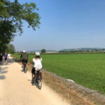 E-bike adventure among villages and medieval castles - Meeting Point at Villafranca di Verona