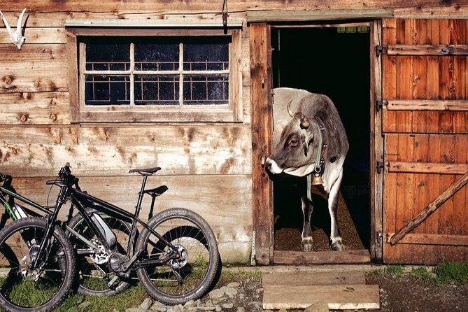 E-Bike Food and Wine Tour in the Sorrento Peninsula - Limoncello and Local Beverage Tastings