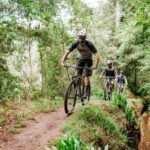 E-Bike Guided Tour - Mountain biking experience - Key Points