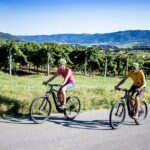 E-Bike Rental in South-West Slovenia - Discovering Vipava Valley on Premium E-Bikes