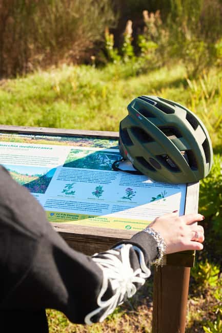 E-bike Ride & Taste: Vesuvian Vineyards & Doc Flavors - Guided Tour of Vesuvian Vineyards