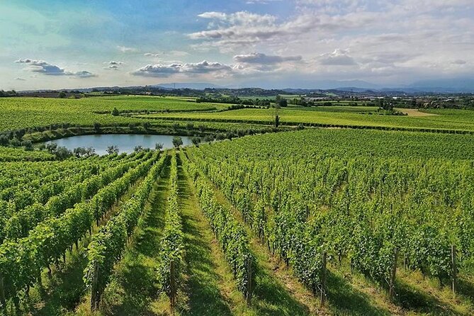 E-Bike tour and Wine tasting from Desenzano Inland - Cycling Through Desenzano and Sirmione Inland