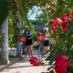 E-bike Tour by ComhiC - The Highlights - 3h - Exploring Tête dOr Park: Lyon’s Green Escape