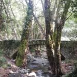 E-bike tour from Omodos to Milomeris Waterfall-Milia Bridge through Platres. - Discover Limassol on a 3-Hour E-bike Adventure from Omodos