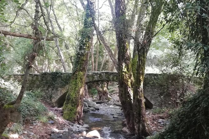 E-bike tour from Omodos to Milomeris Waterfall-Milia Bridge through Platres. - Discover Limassol on a 3-Hour E-bike Adventure from Omodos