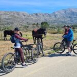 E-Bike Tour + Gourmet Snack + Wine Tasting (Small Group) - Scenic Ride Through Dubrovnik’s Countryside and Coastal Areas