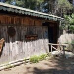 E-bike tour in Sila and tasting of typical products - Tasting Local Sila Products at an Agritourism Farm