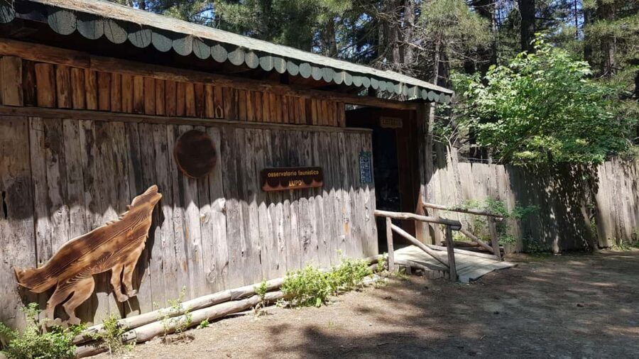 E-bike tour in Sila and tasting of typical products - Tasting Local Sila Products at an Agritourism Farm