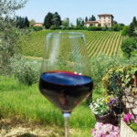 E-bike Tuscany and Chianti Self-Guided Tour with Farm Visit - Visiting Certosa Di Firenze, an Ancient Monastery